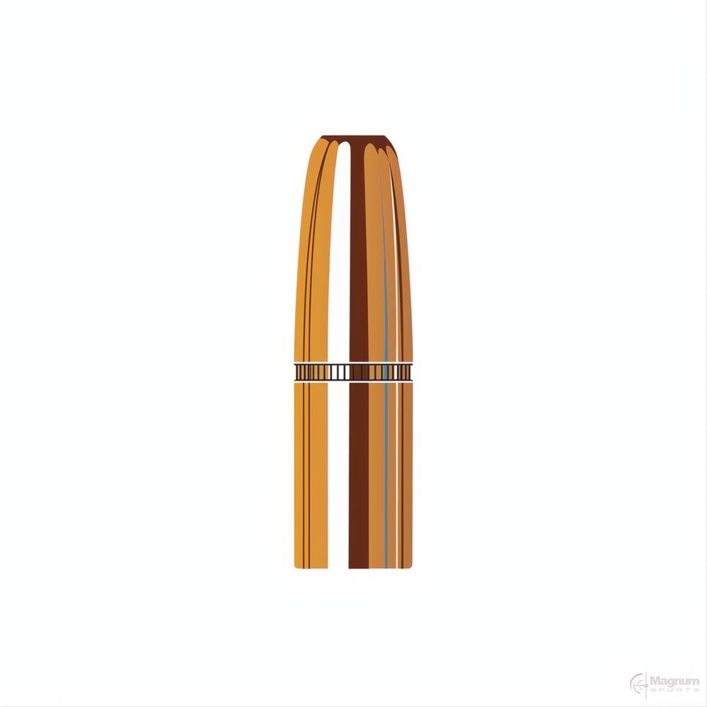 Hornady 9.3mm (.366 Diameter) DGS 300gr Projectiles