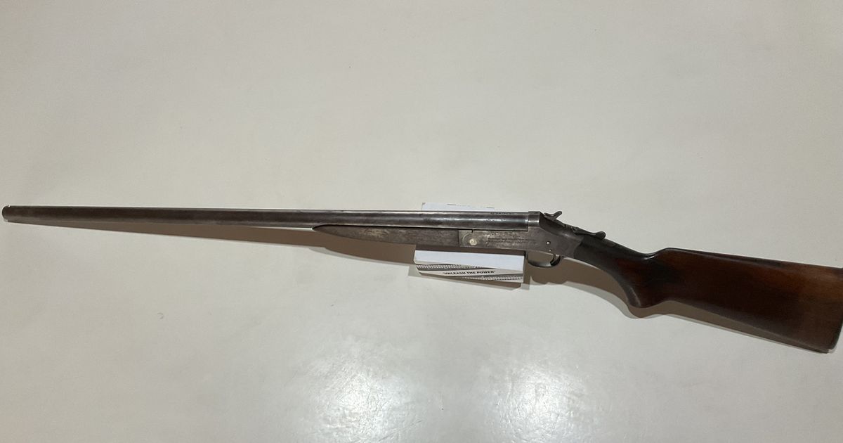 85 year old H&R 12 G