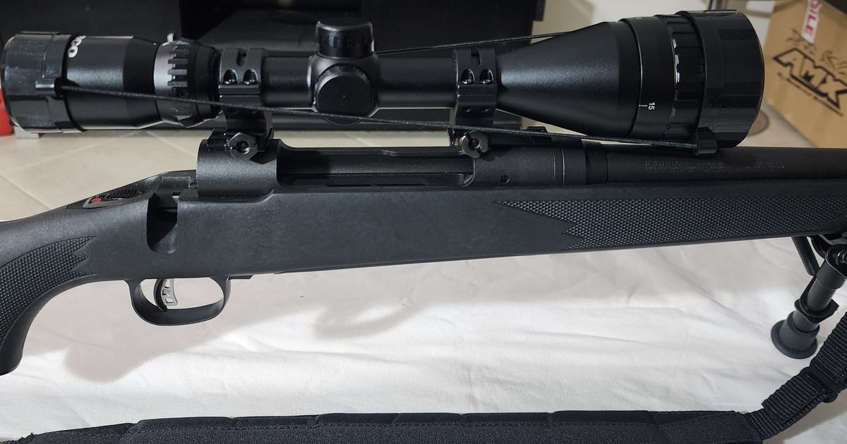 Savage Model 111