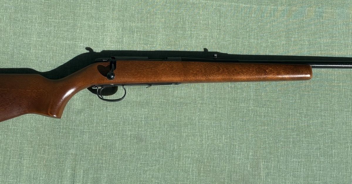Remington .22