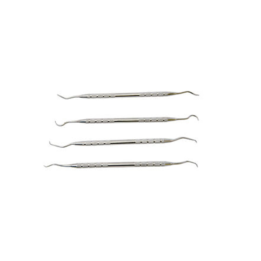Stainless Steel Picks 4 Pack