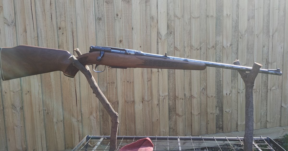 Perfect spotlighting rifle