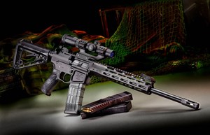 WILSON COMBAT
RECON TACTICAL
16" BARREL
30 SHOT, 
SEMI AUTO
CATEGORY D

AVAILABLE IN 
223REM OR 300 BLACK OUT
NEW $3490