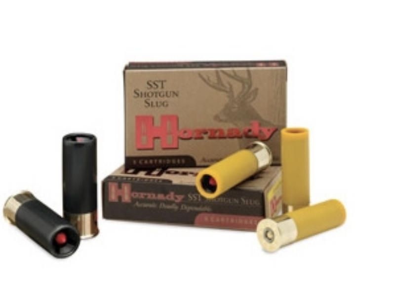 Hornady 12 gauge Shotgun Slug 300 grain SST Flextip