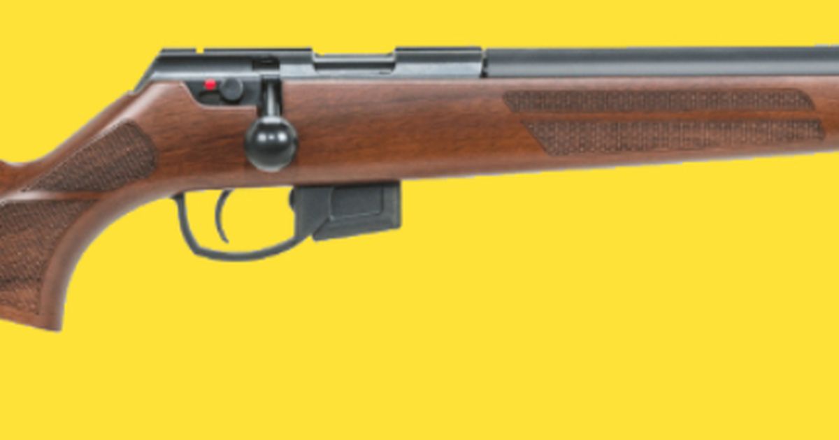 Anschutz 1761