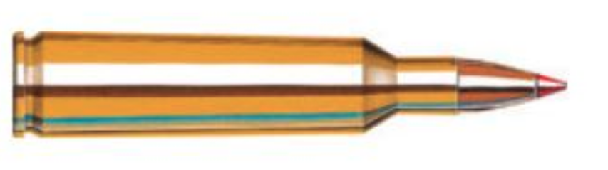 HORNADY 22-250 REM 50 GR VMAX SPF
