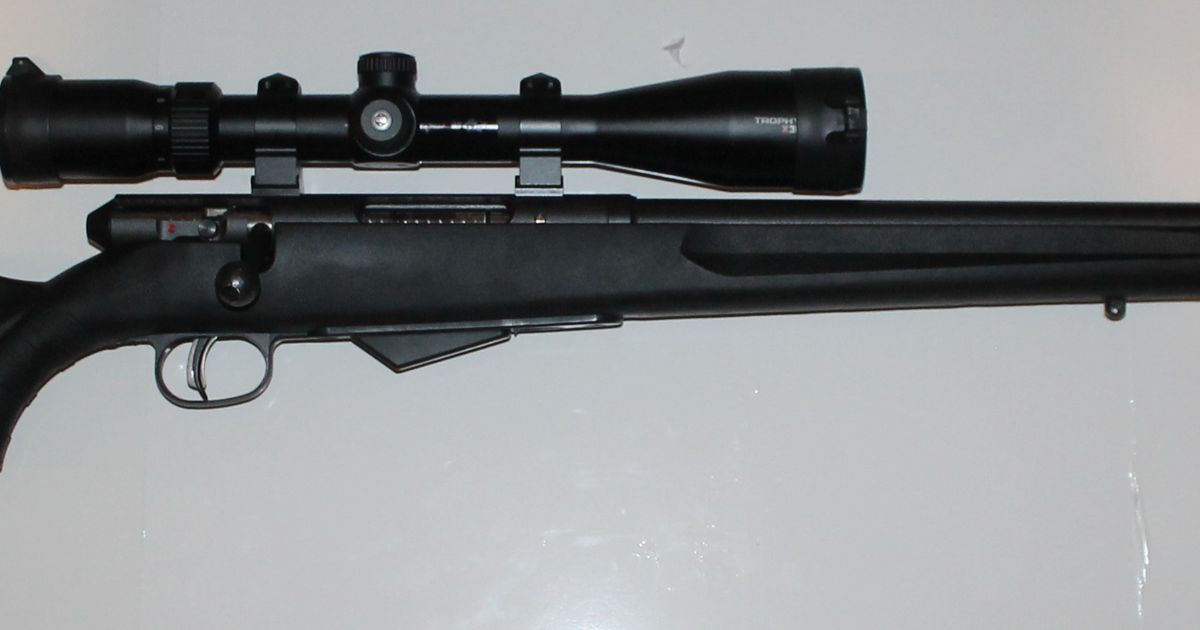 Savage M25 17 Hornet & Bushnell Scope