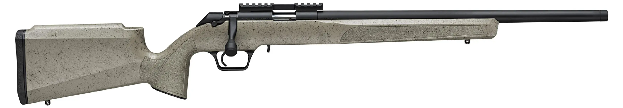 SPRINGFIELD 2020 RIMFIRE TARGET SAGE WEB