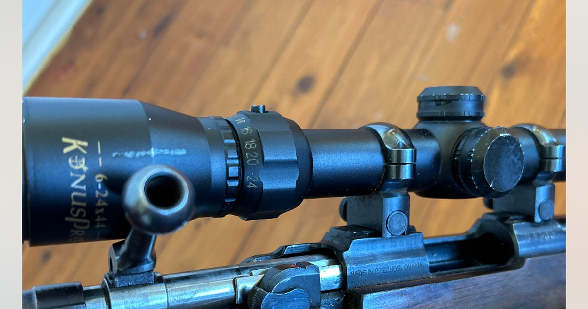.22 Hornet