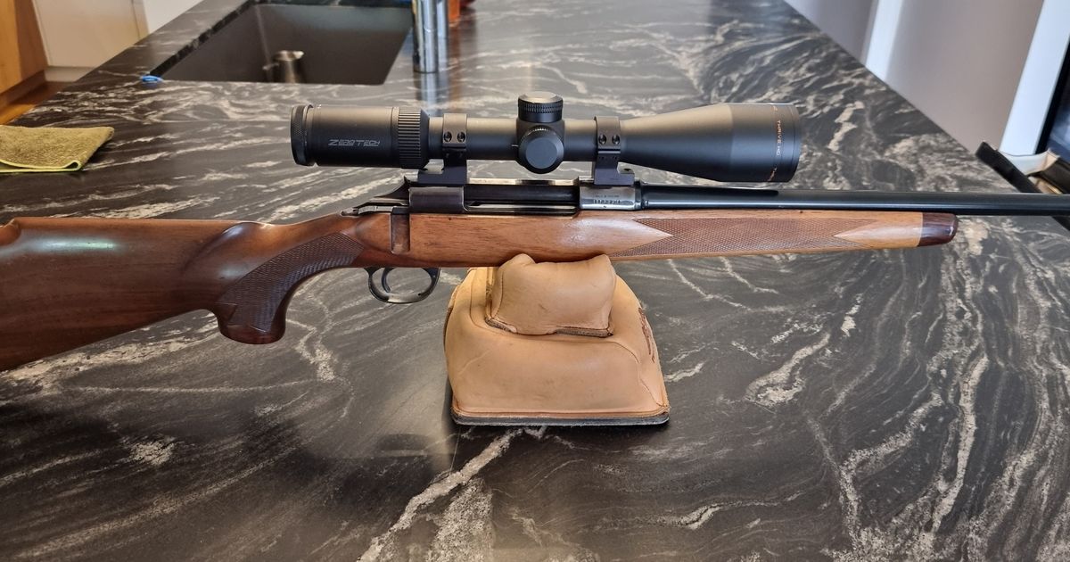 BSA Monarch Pattern II .243
