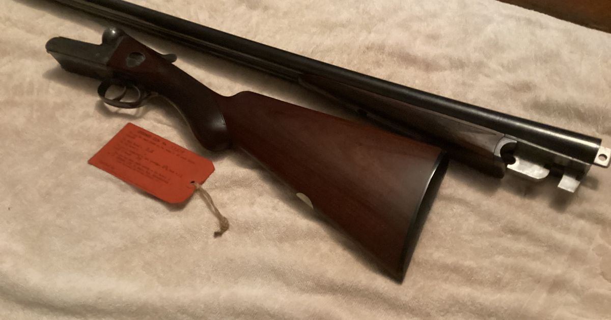 WW GREENER / Quality 12 gauge shotgun