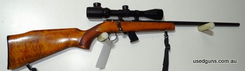 Good condition plus great 22 with 10 shot mag