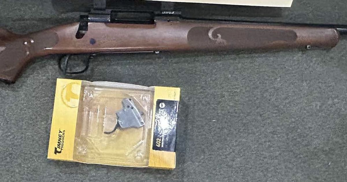 Winchester 308
