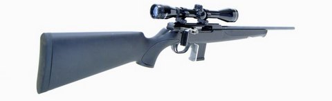 ISSC SPA straight pull Synthetic 17hmr. Has a 10 shot magazine, comes cased.