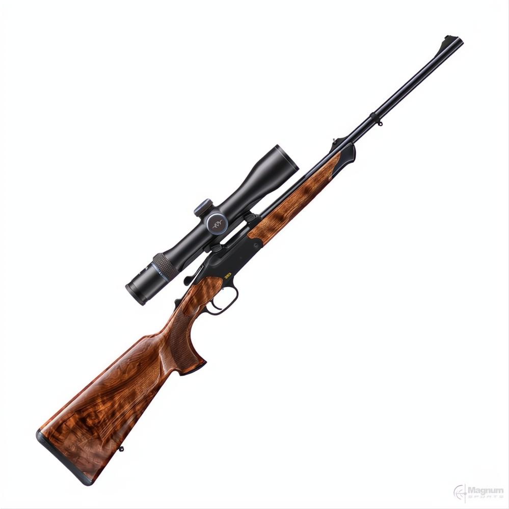 Blaser K95