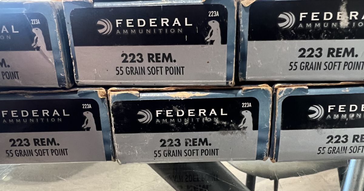 Federal power shok   55 grain 223