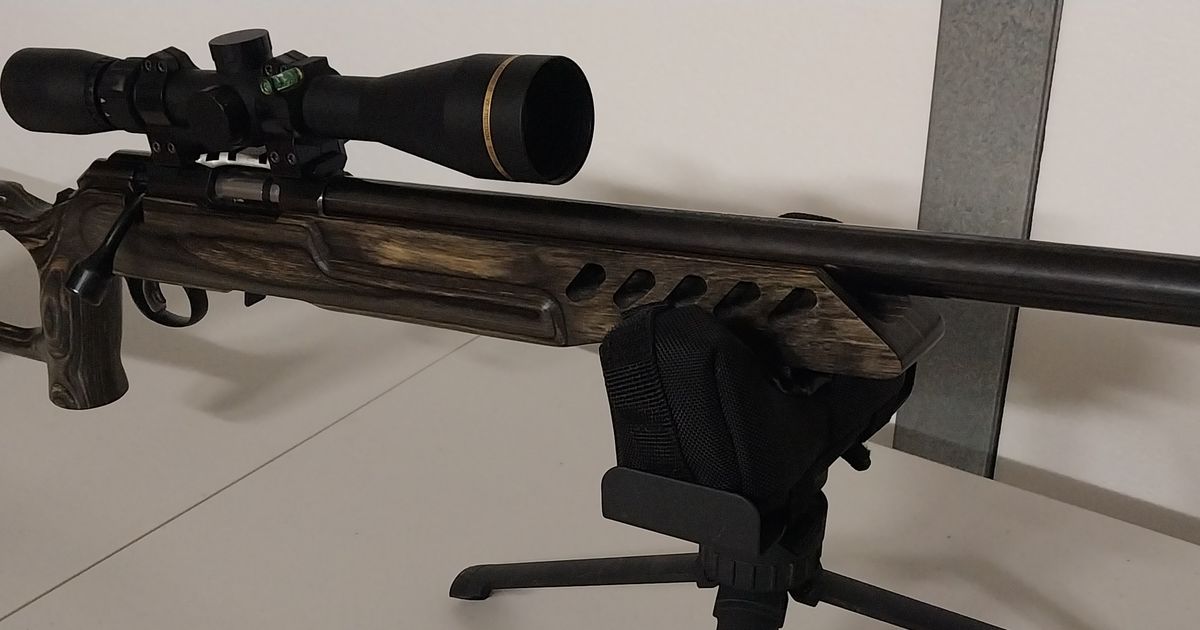 RUGER AMERICAN RIMFIRE LAMINATED THUMBHOLE TARGET