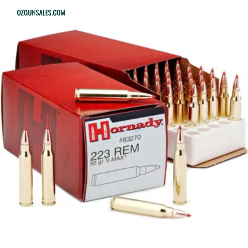 Hornady 223REM 55gr V-Max 500 Round SLAB