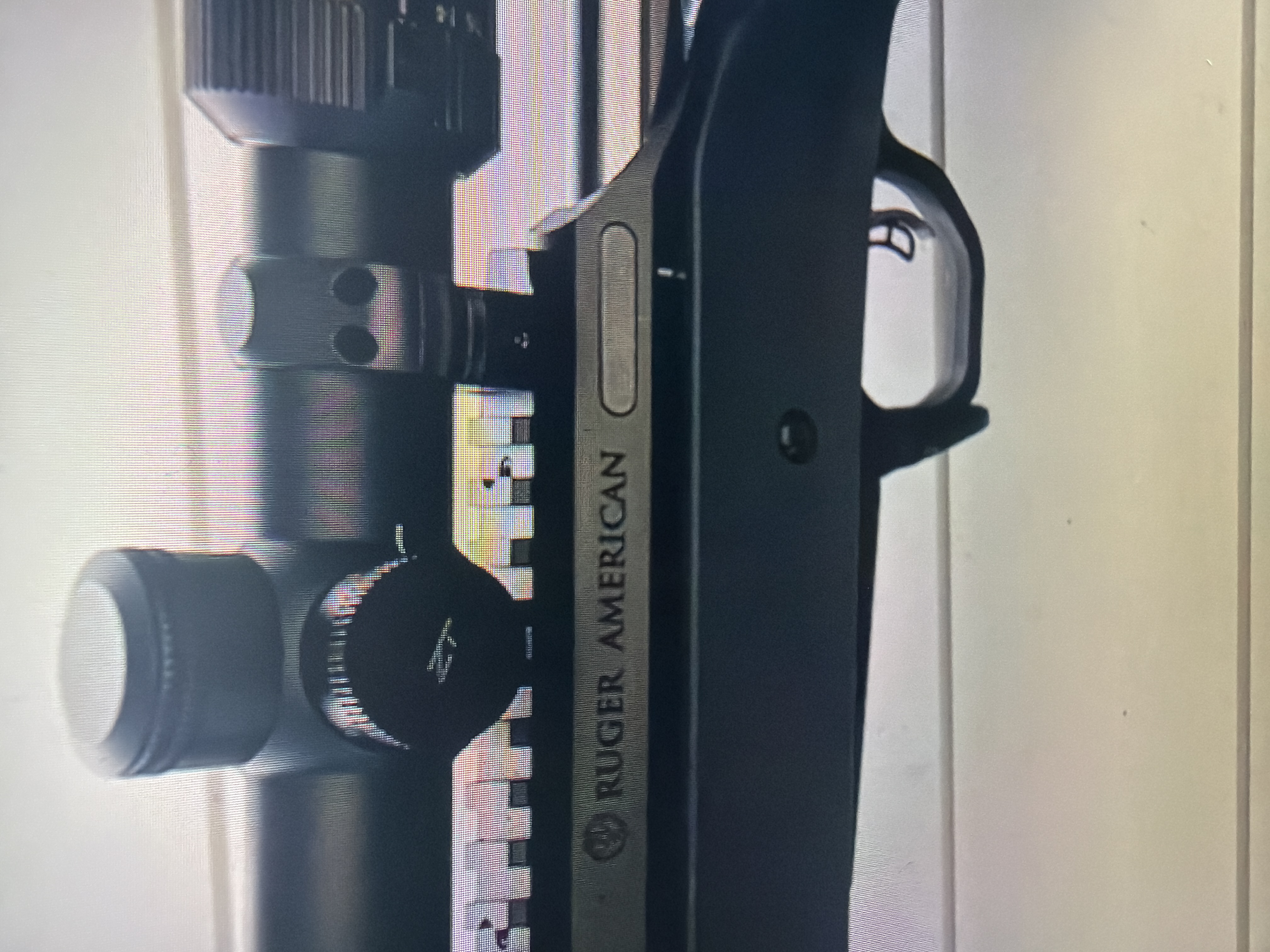 Ruger American Hunter