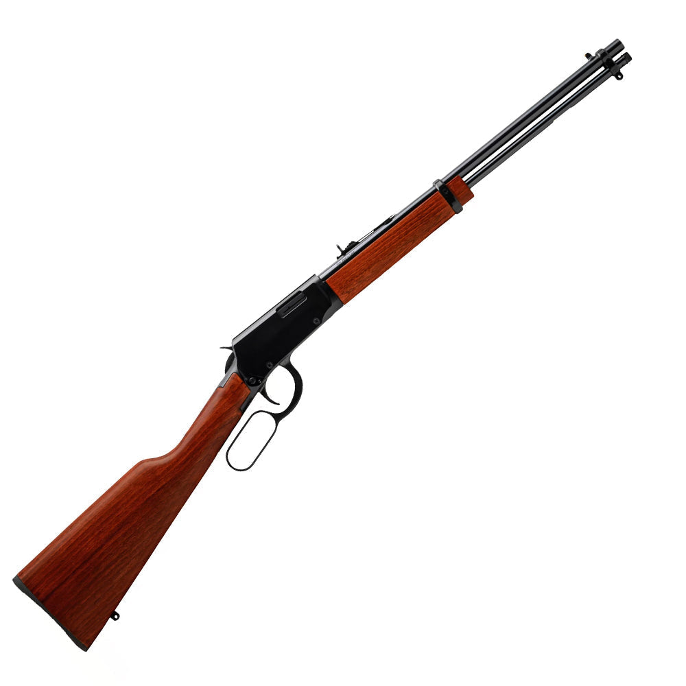 Rossi Rio Bravo