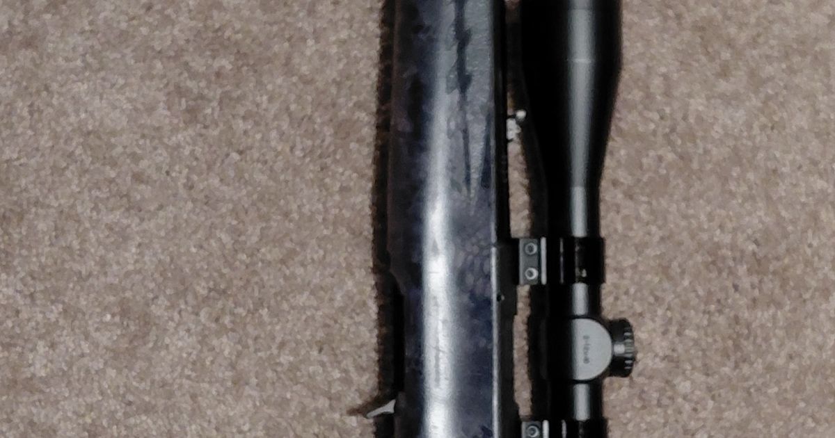 .22 LR American Ruger