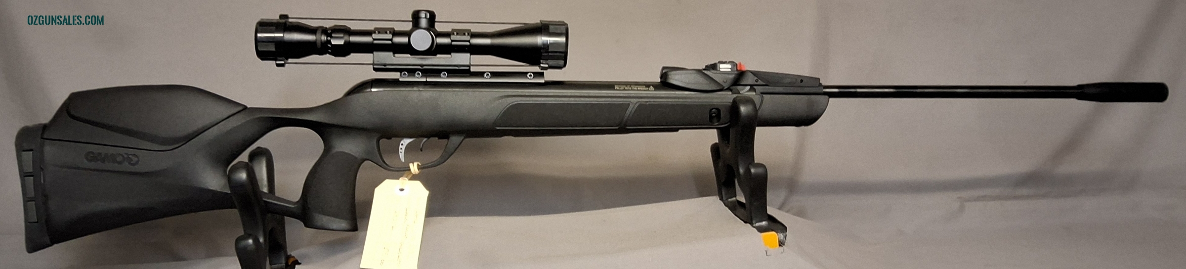 Gamo Swarm Magnum .177