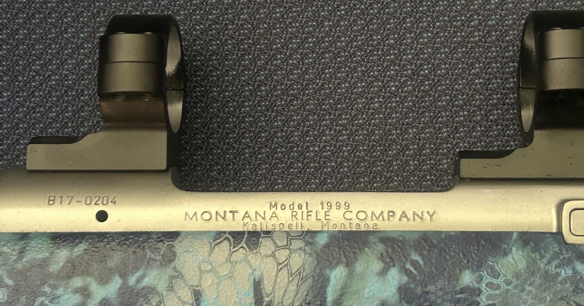 Montana MSR lightweight hunting rifle