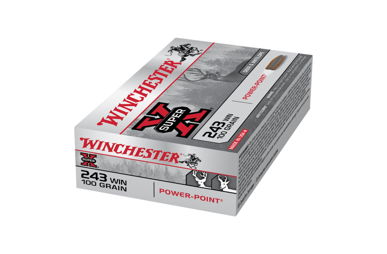 WINCHESTER 243 WIN SUPER-X 100GR PP