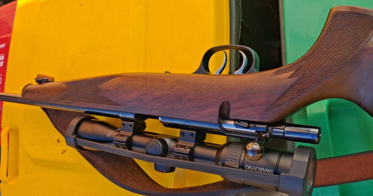 Krico .22 & swarovski scope