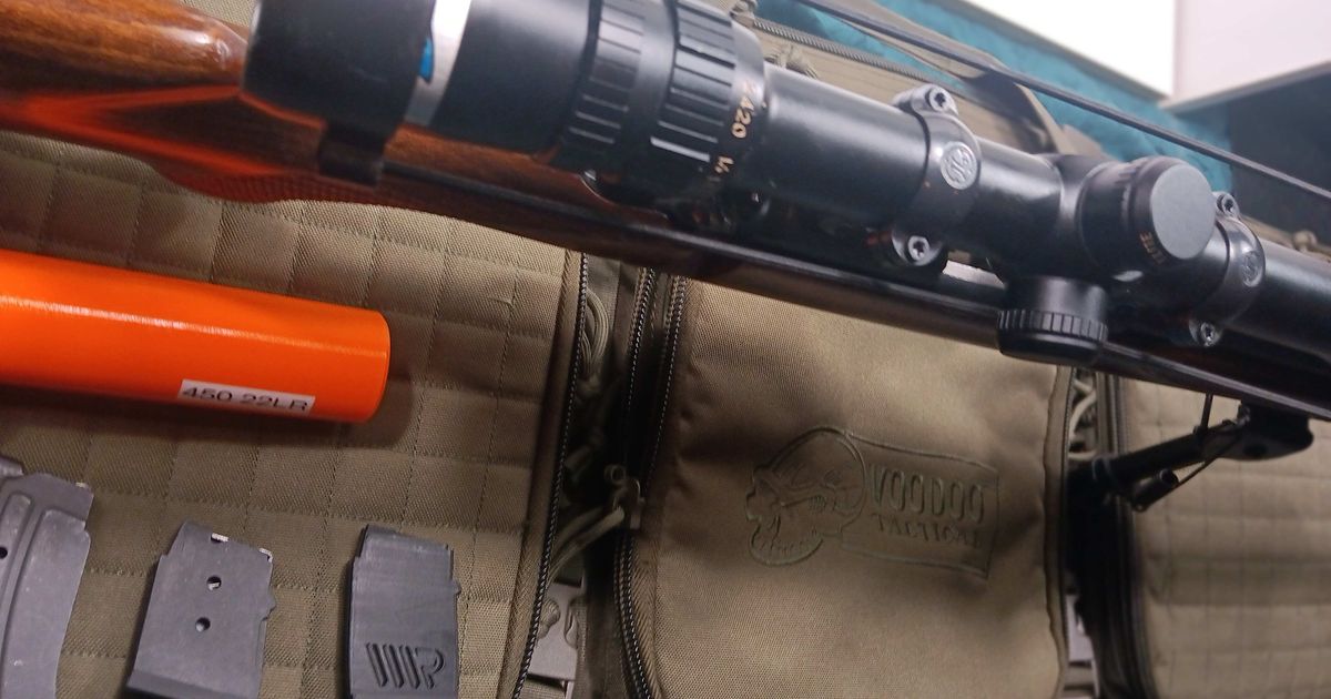 CZ 22 LR American with Scope