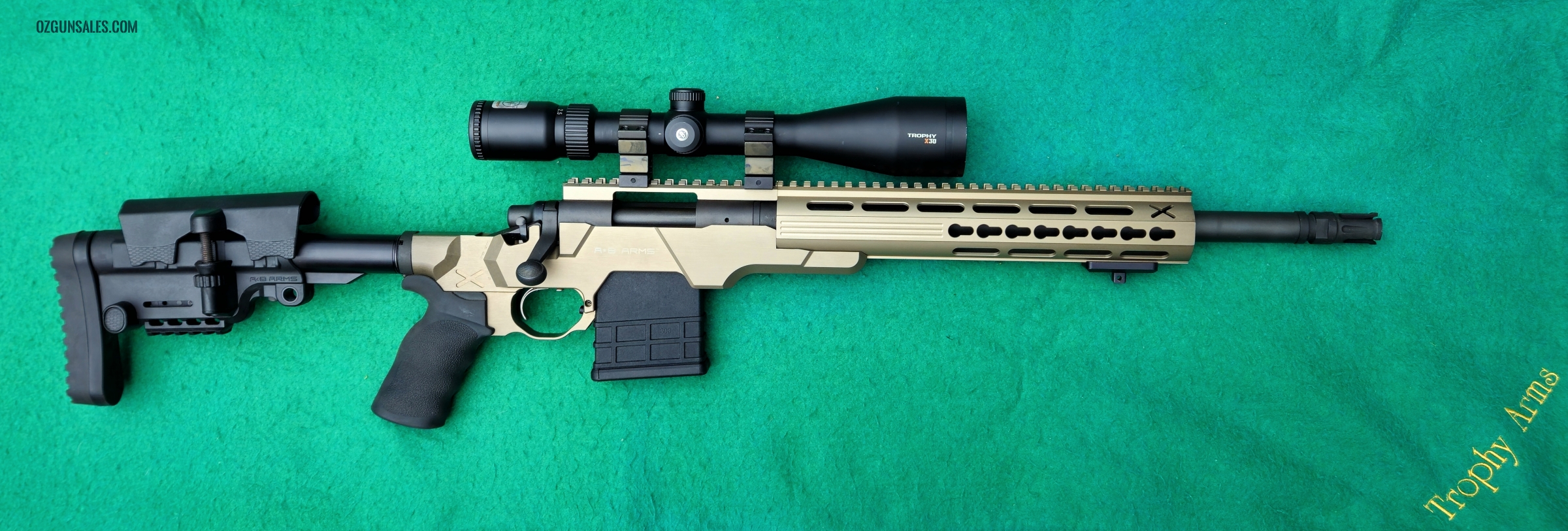 Remington 700 - Tactical in .308 WIN