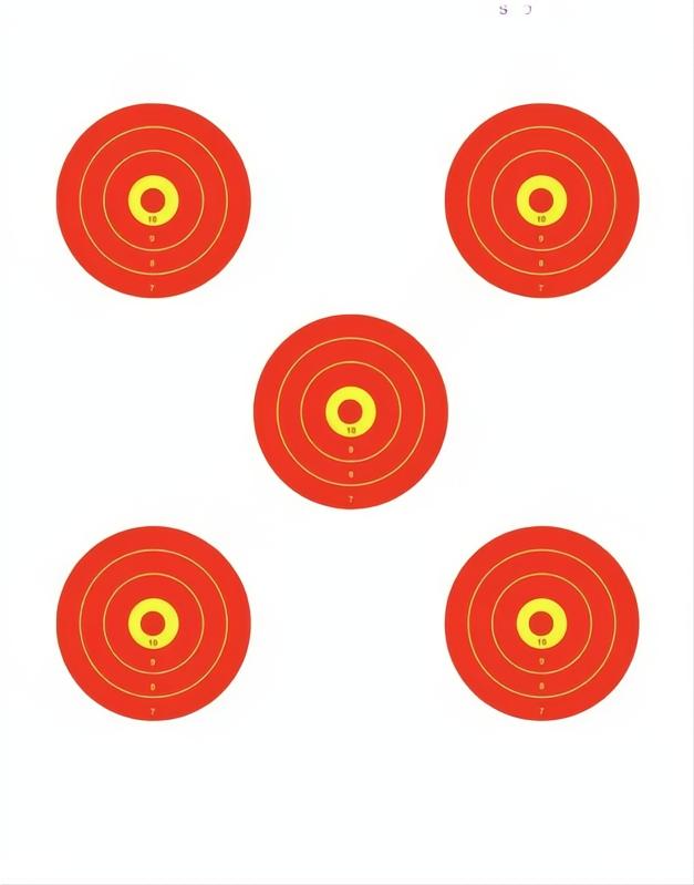 Champion Shotkeeper 5 Bull Br Large Target 12 Pack