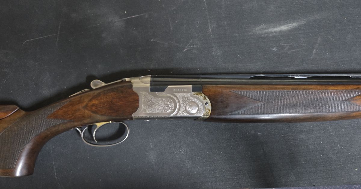 Beretta silver pigeon