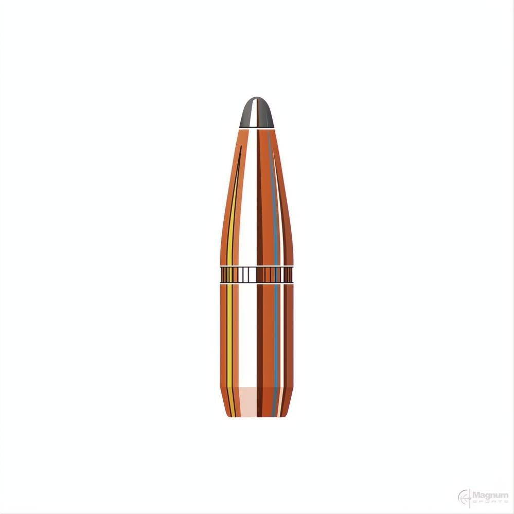 Hornady 6mm (.243 Diameter) BTSP 100gr Projectiles