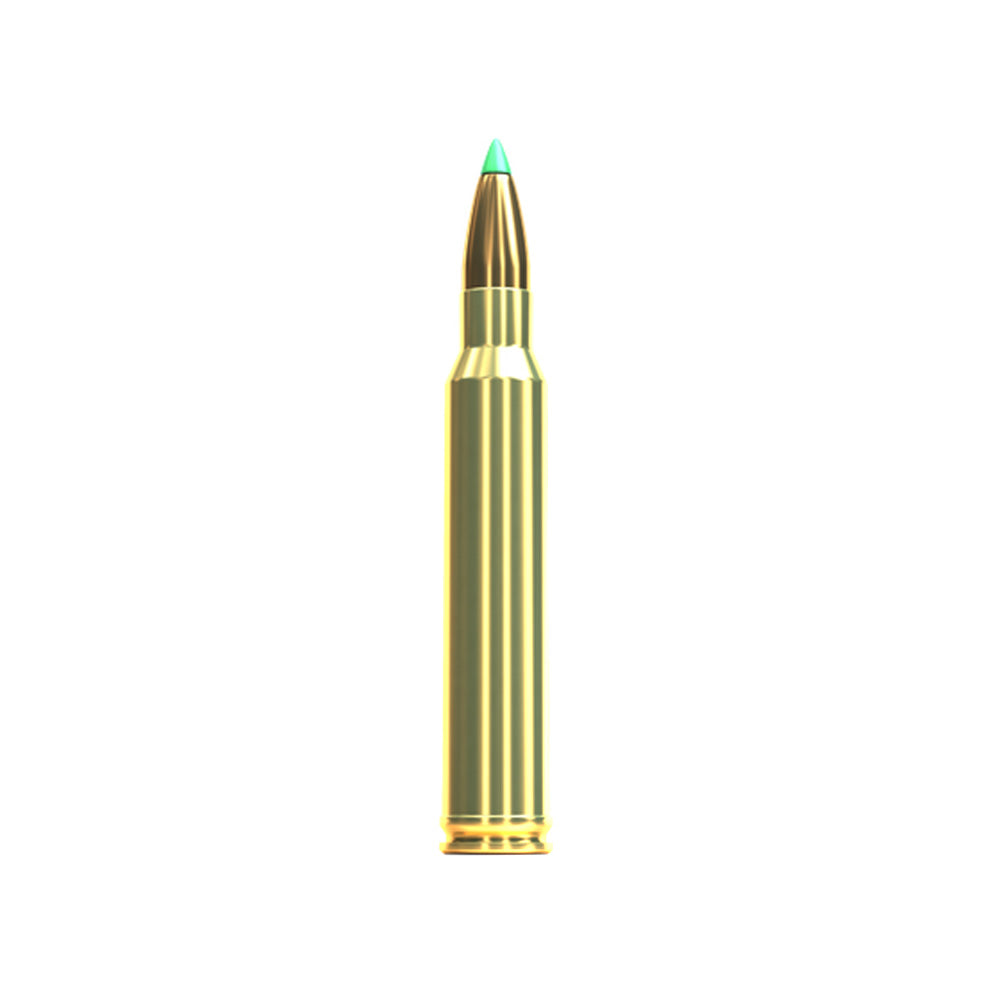 300 Win Mag 180gr Sst