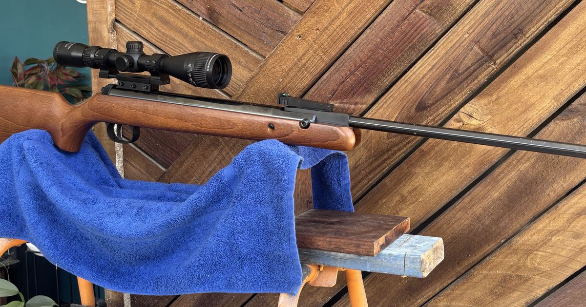 Great lil pellet gun