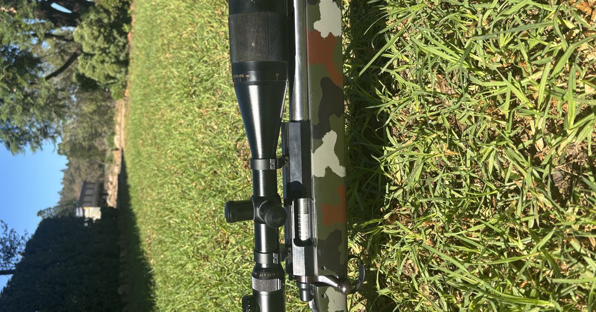 Custom rifle 6.5 x 47 Lapua