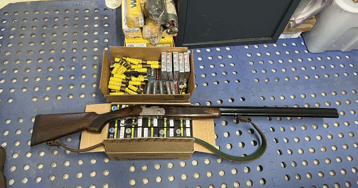 Beretta 20 gauge
