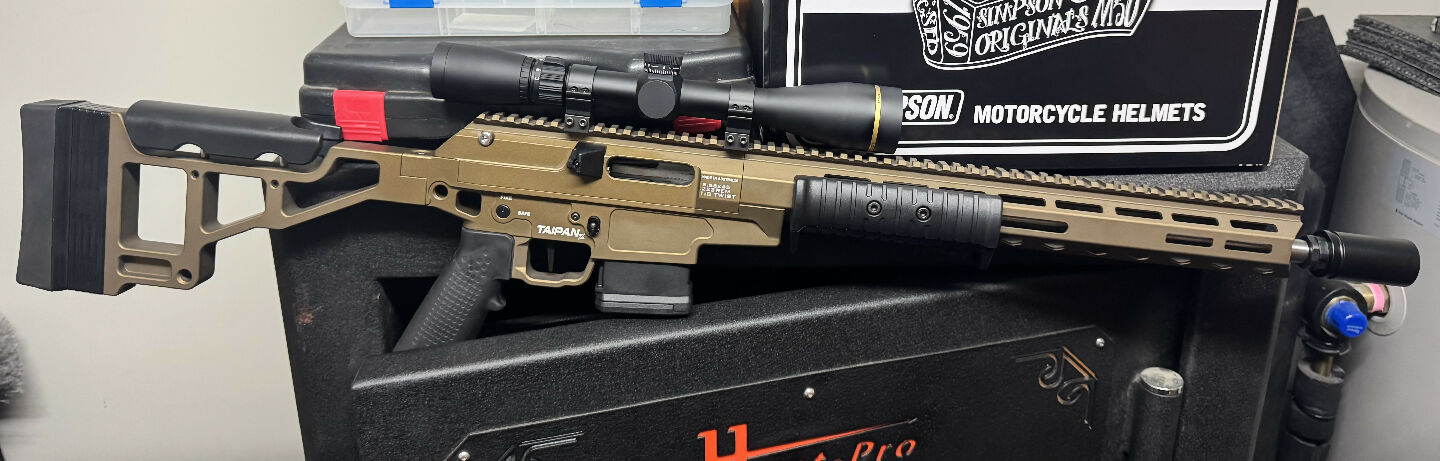 Taipan x .223rem pump/straight pull spring assisted