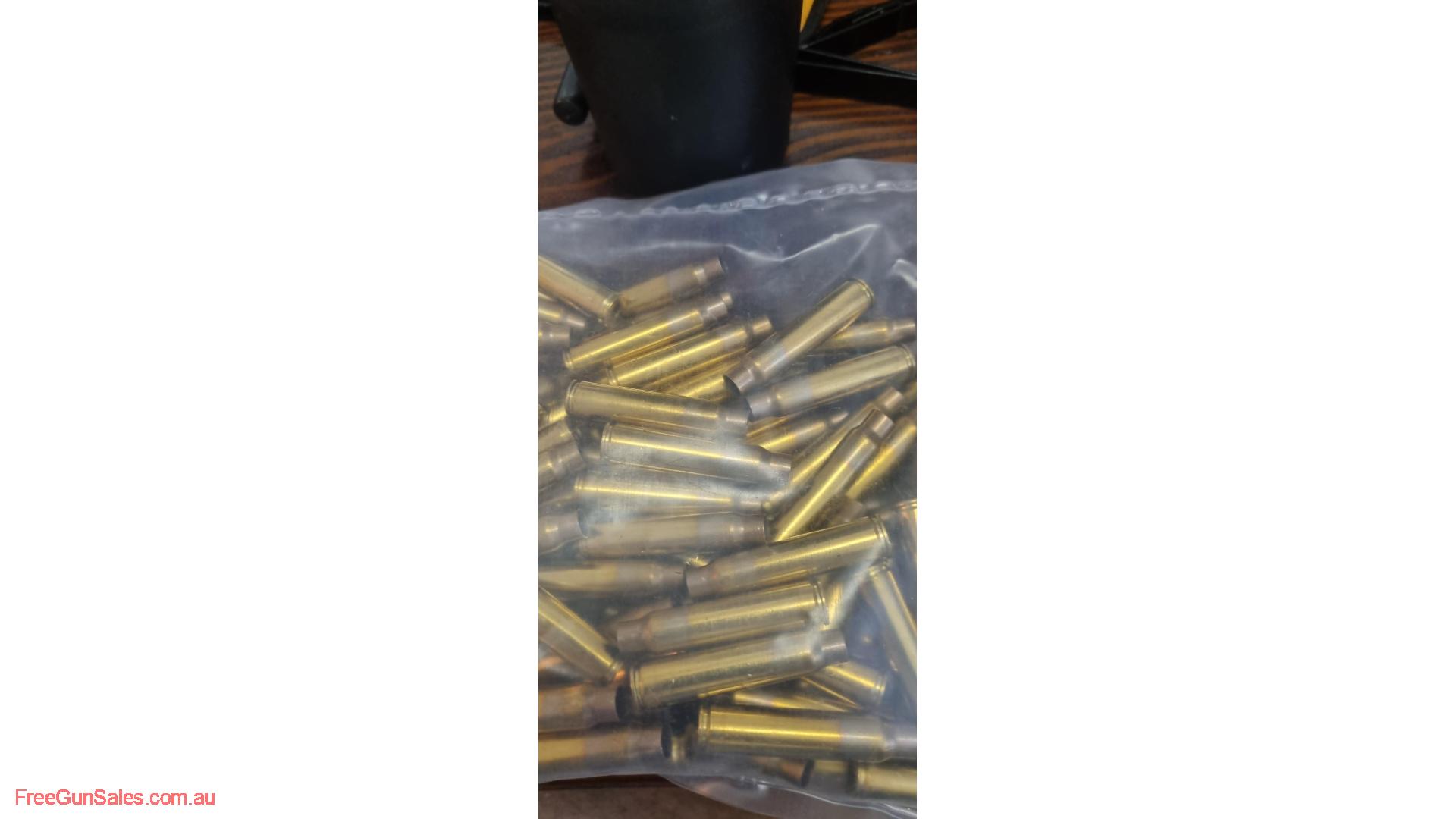 7.65 x 53 Arg brass GOONDIWINDI