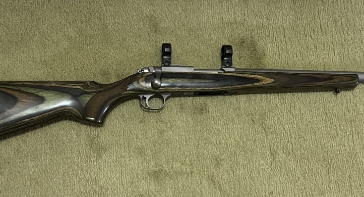 Ruger 77/17 hornet stainless varmint