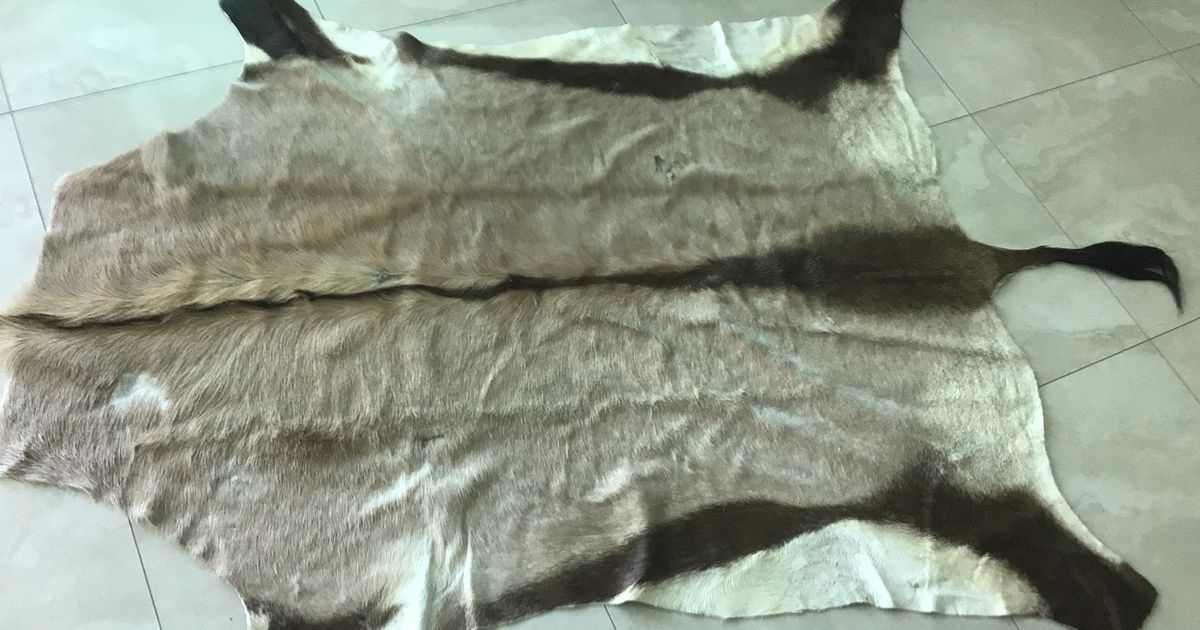 African hides