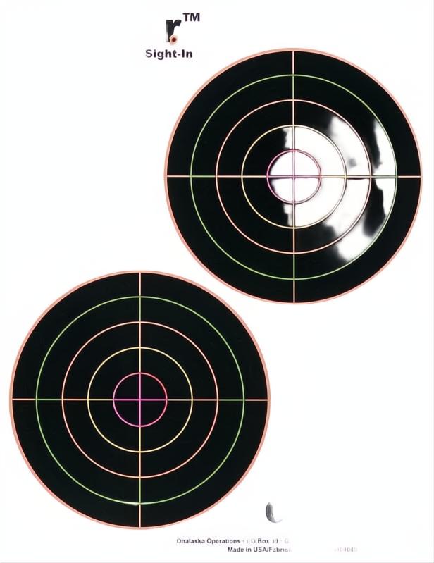 Champion Visicolor Bull Target