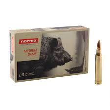 NORMA .300WM 180GR PLASTIC POINT 20PK