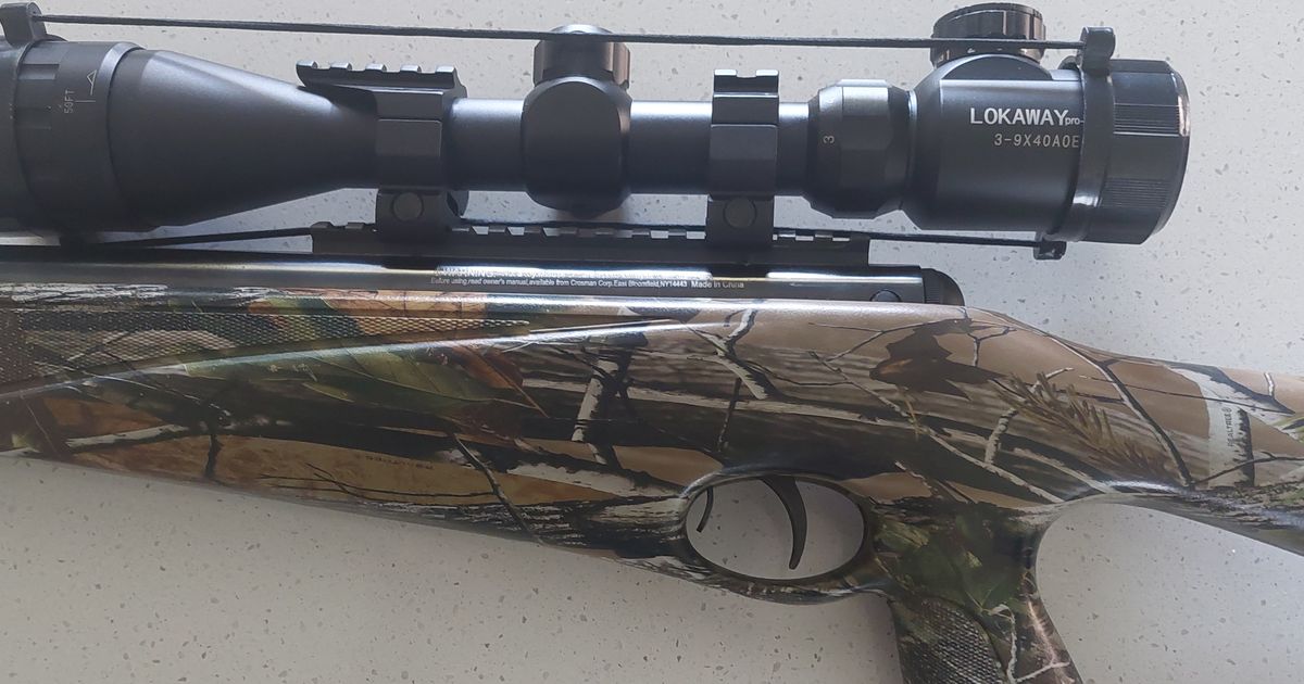 .22 Air Rifle
