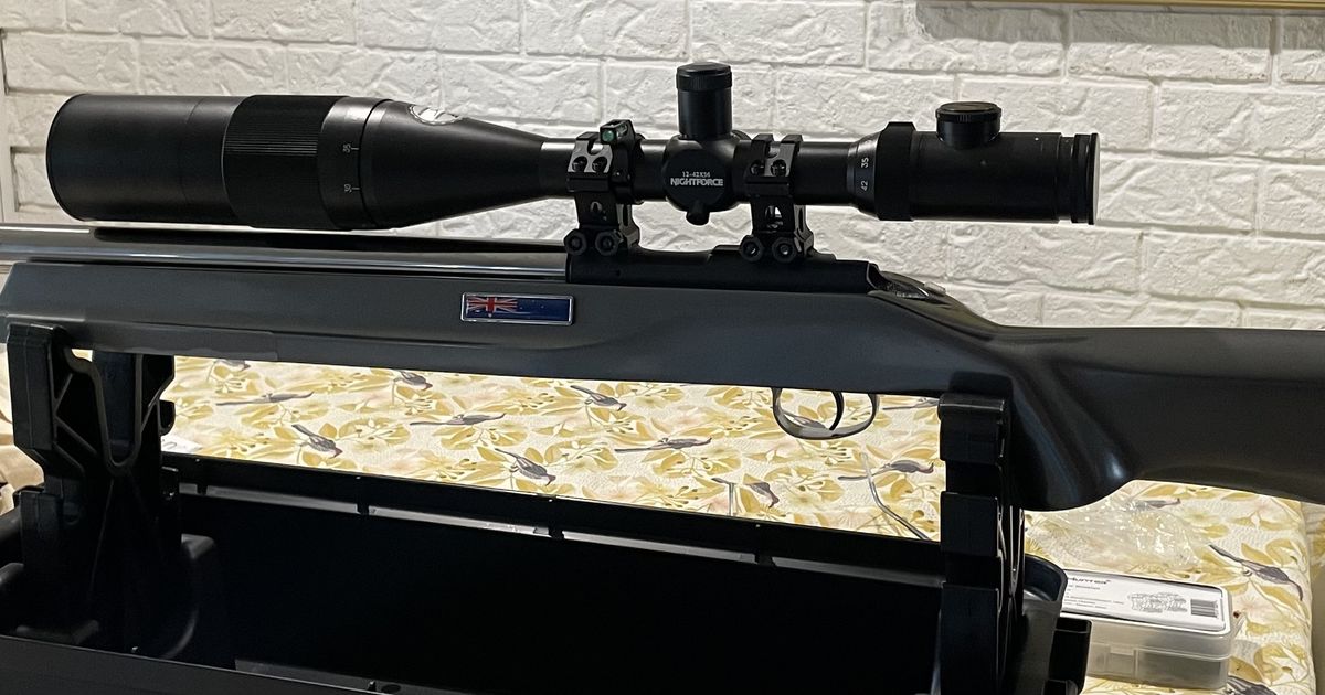 Brno 2E Custom  22lr Benchrest