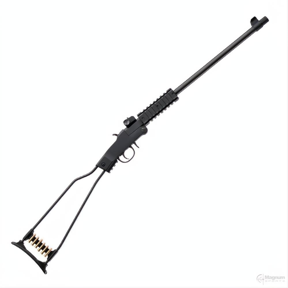 Chiappa Firearms Little Badger Blued