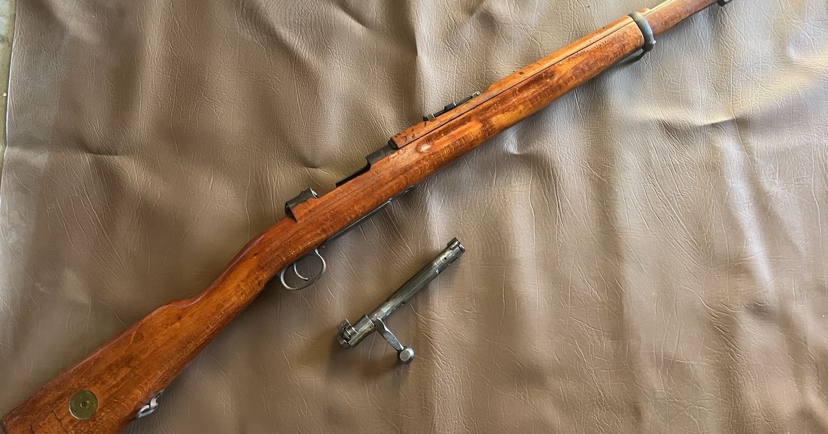 6.5 X 55 Swede