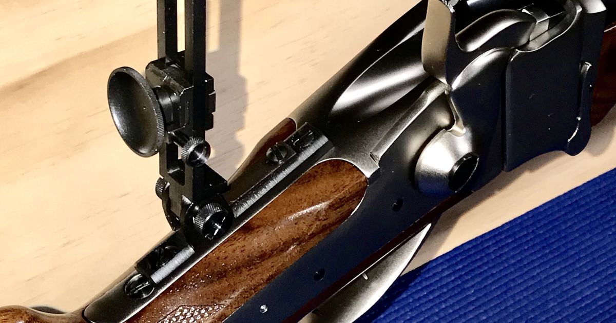 1874 Sharps Competition