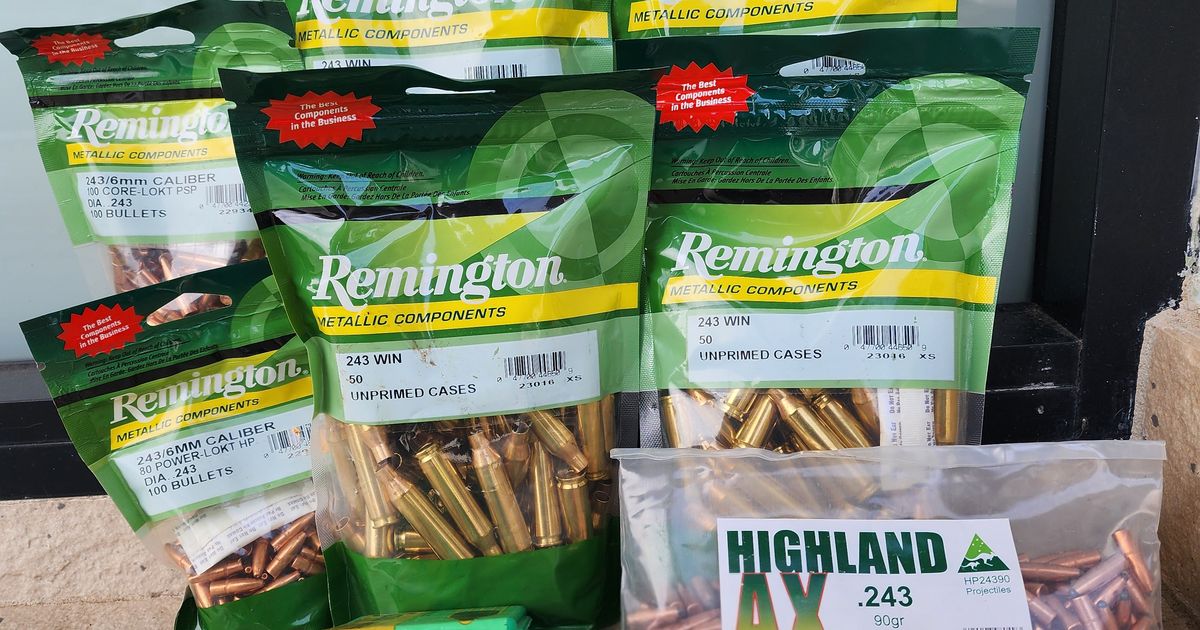 243 cases and projectiles remington